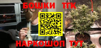 прущие крисы Лесосибирск