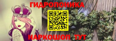 прущие крисы Лесосибирск